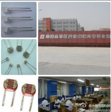 光敏電阻,環保光敏電阻,環境光探測器,線性光電耦合器,光敏傳感器,貼片光敏傳感器,電阻套,金屬殼光敏電阻,線性光耦等產品,工廠,廠商-李占才信利佳光敏電阻生產基地、線性光耦、熱釋電、