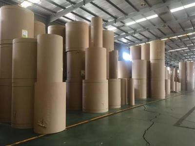 「漳州工業影像記」福建欣龍包裝制品:老牌實業在新時代迸發“速度與激情”