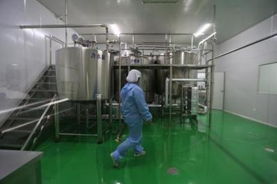 【新時代·幸福美麗新邊疆】從交通工具到渾身是寶 新疆駱駝走上產業發展之路